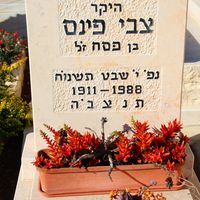 צבי פינס